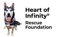 heart-of-infinity