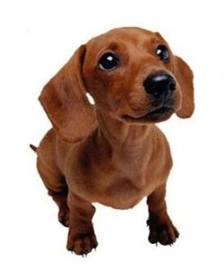 image_desktop (2)
