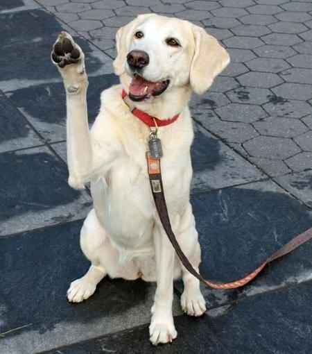 k9katelynn_com_image_95796312