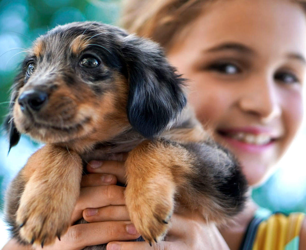 Dog Trainer Scottsdale AZ new-puppy-arizona